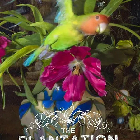 The Plantation Luxury Loft Apartmán