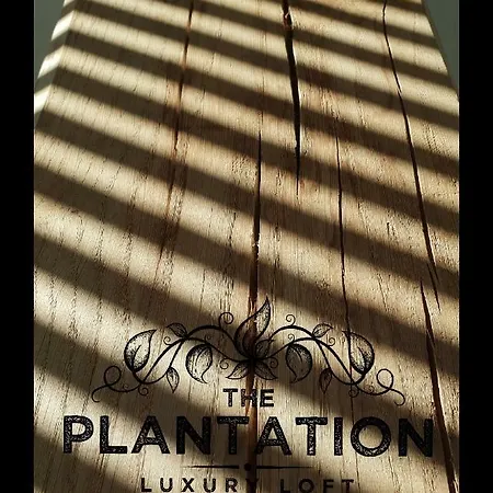 The Plantation Luxury Loft * Bergen
