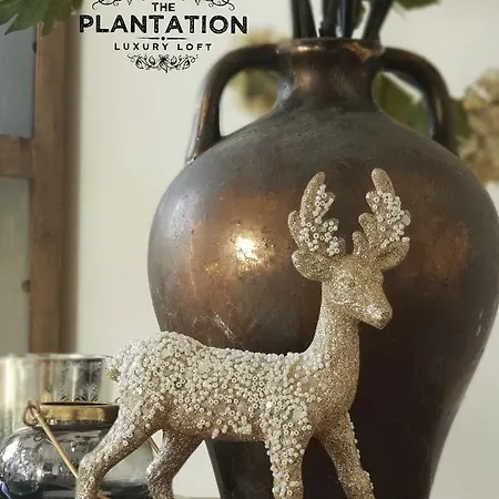 The Plantation Luxury Loft *