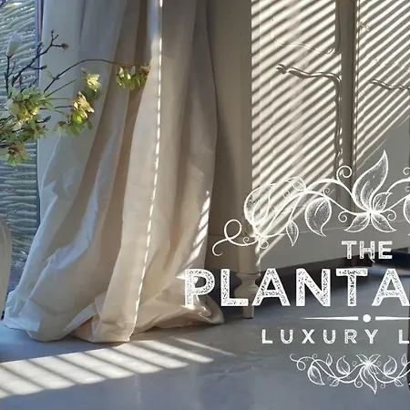 Apartmán The Plantation Luxury Loft *