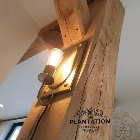 Apartmán The Plantation Luxury Loft Bergen
